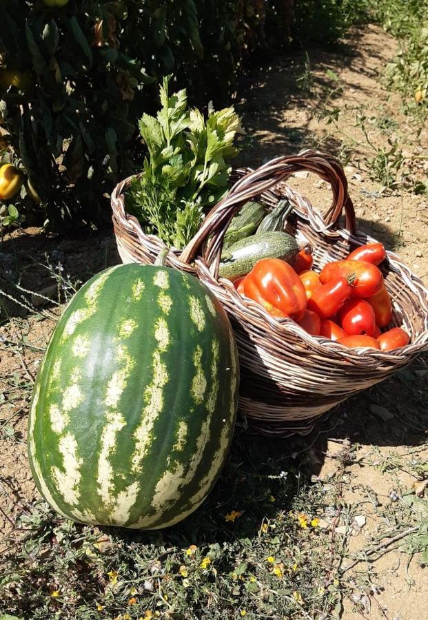 Agriturismo Selvella Allerona Εξωτερικό φωτογραφία