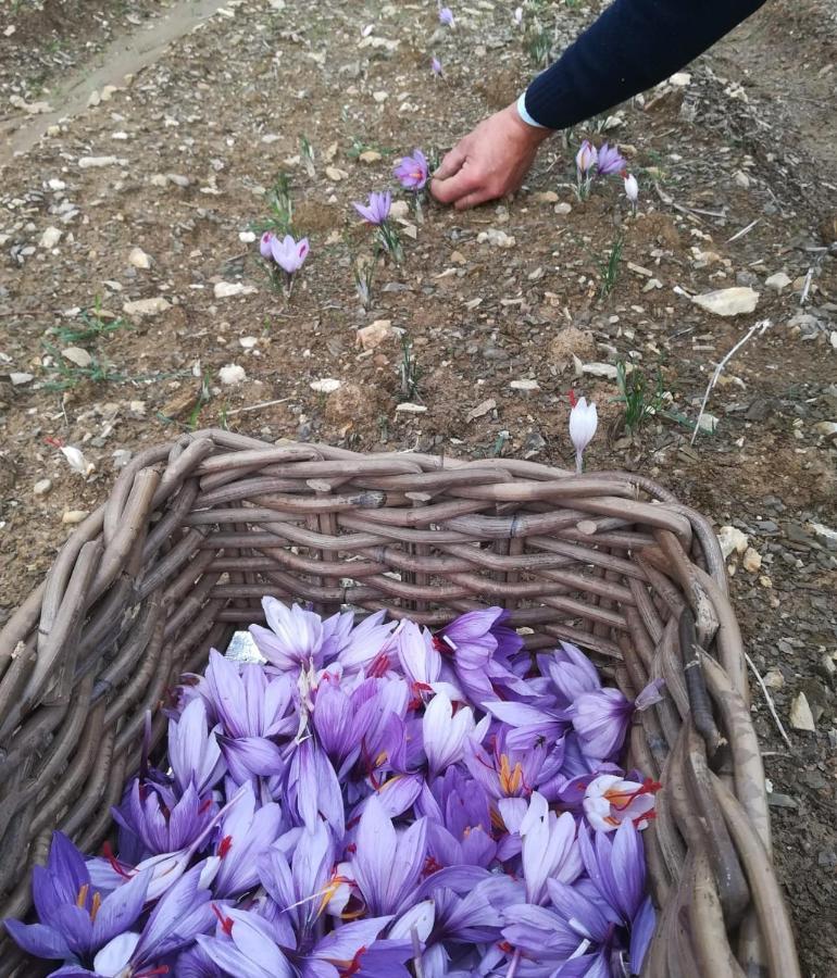 Agriturismo Selvella Allerona Εξωτερικό φωτογραφία